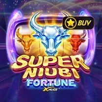 Casino Webcam SLOT JILI Login